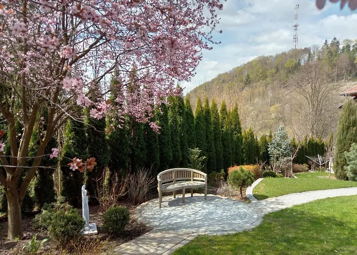 Goscinne Monti * Kudowa-Zdrój